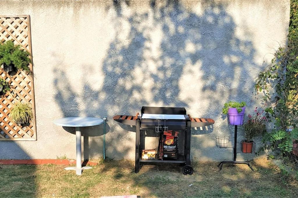 Deppy'S House Κοντά Στα Λουτρά Πόζαρ Daire Chrysi Dış mekan fotoğraf