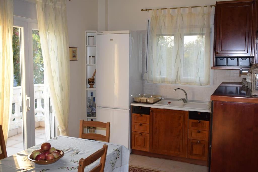Deppy'S House Κοντά Στα Λουτρά Πόζαρ Daire Chrysi Dış mekan fotoğraf