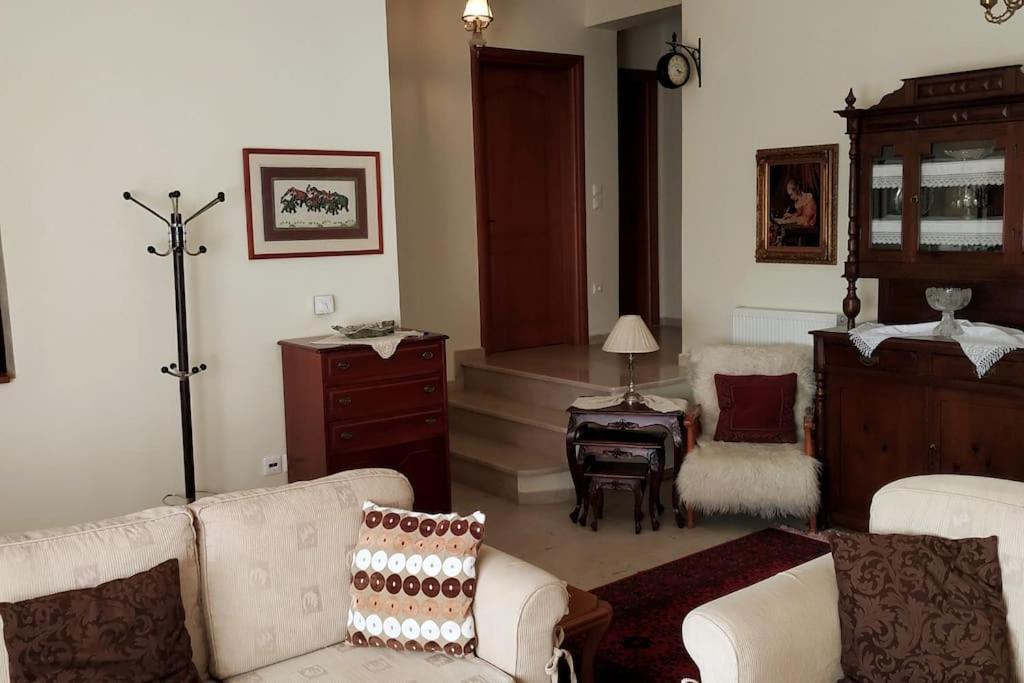Deppy'S House Κοντά Στα Λουτρά Πόζαρ Daire Chrysi Dış mekan fotoğraf